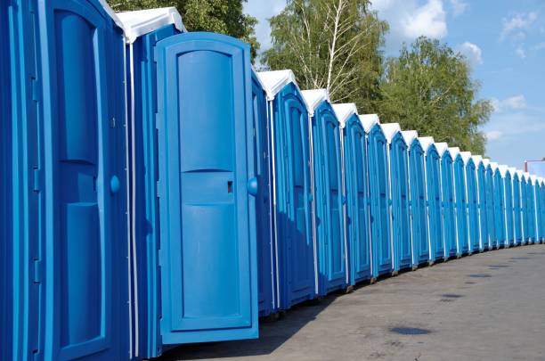Best Affordable portable toilet rental  in Hartley, IA